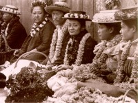 Lei Sellers